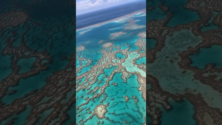 Unforgettable Great Barrier Reef Scenic Flight #shorts