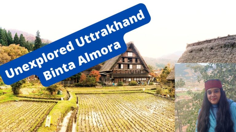 Complete trip of Binta Almora Uttrakhand #uttarakhand#hotel#travel #mountains@Travel with OTA Expert